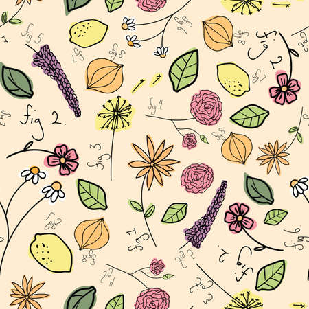 Vector seamless pattern with hand drawn medical herbs and spices.のイラスト素材