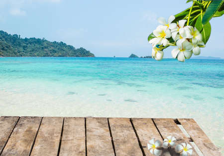 flower at seasideの写真素材