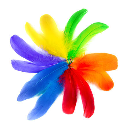 color featherの写真素材