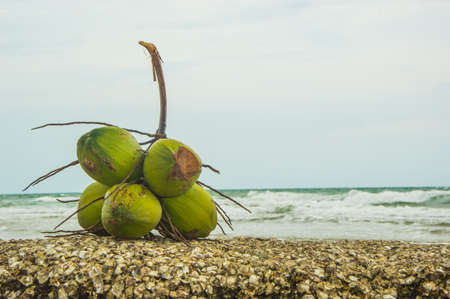 coconut seaの写真素材