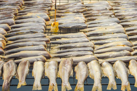 meat fishの写真素材