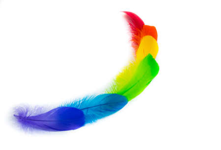 color featherの写真素材