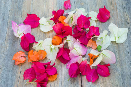 beautiful flower on wood の写真素材