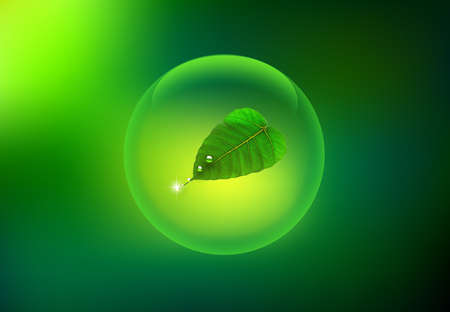 nature background