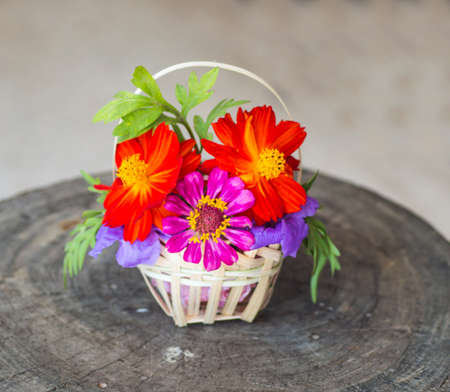 beautiful flower basket