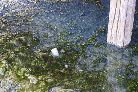 wastewater