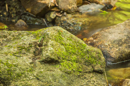 stone in waterfallの写真素材