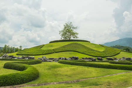 beautiful gardenの写真素材