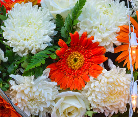 beautiful flowerの写真素材