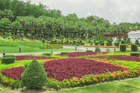 beautiful gardenの写真素材