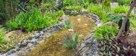 beautiful gardenの写真素材