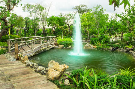 beautiful gardenの写真素材