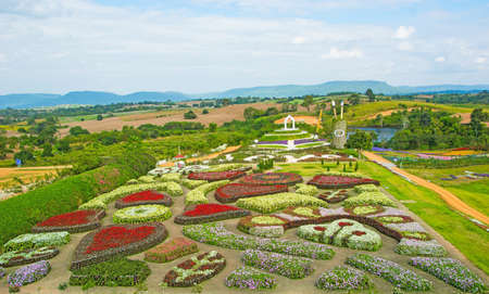 field flowerの写真素材