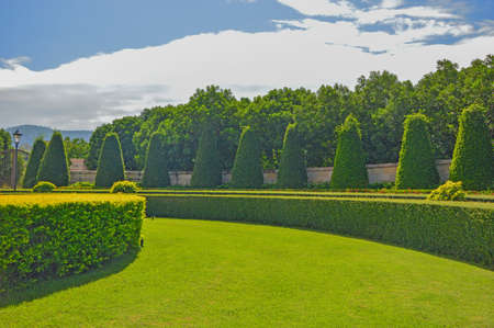 green fieldの写真素材