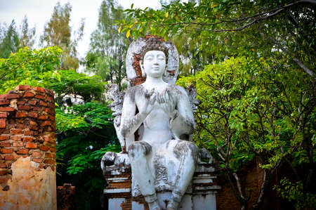 beautiful buddha statueの写真素材