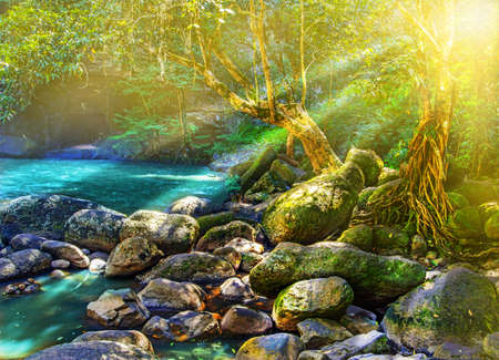 waterfall in thailandの写真素材