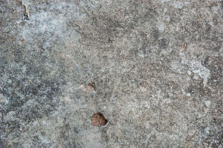 concrete wall texture backgroundの写真素材