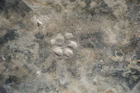 concrete wall texture backgroundの写真素材