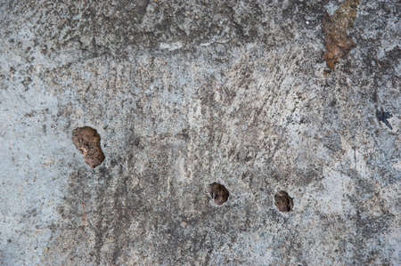 concrete wall texture backgroundの写真素材