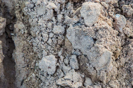 ground texture backgroundの写真素材