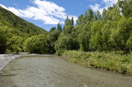 Beautiful landscape of stream and forest over blue sky