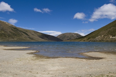 Mountain landscape at Lake pearson with daisy flowers, New Zealandの写真素材
