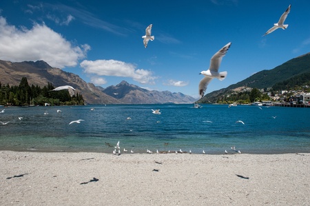 Beautiful Wakatiup Lake, New Zealandの写真素材