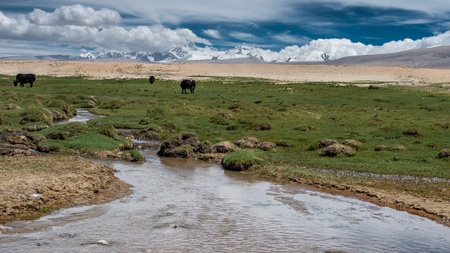 Green meadow and Himalayas rangeの写真素材