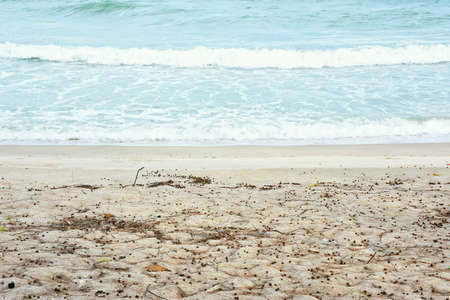 On beachの素材