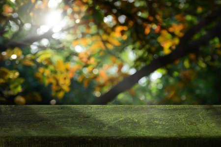 Wooden table with nature and bokeh blurred on background for decorative so beautiful.