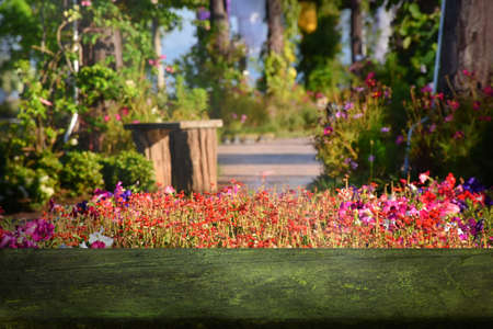 Wooden table with View of flowers garden background for relaxation with beautiful nature.の写真素材