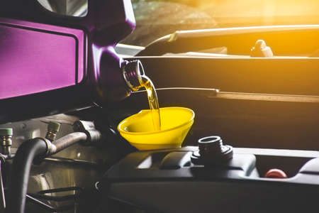 Mechanic pouring engine oil to car engineの写真素材