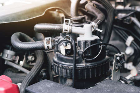 Diesel fuel filter box and rubber tube of the diesel engine system in the car