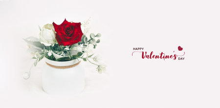 Red rose in pot with white background and decorated with text, Happy valentines day conceptの写真素材