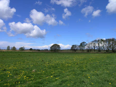 Spring on the Darßの写真素材