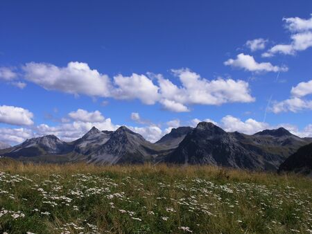 Summer in the mountains in the Alps near Arosaの写真素材