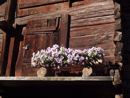 Flowers in front of old log cabin Valaisの写真素材
