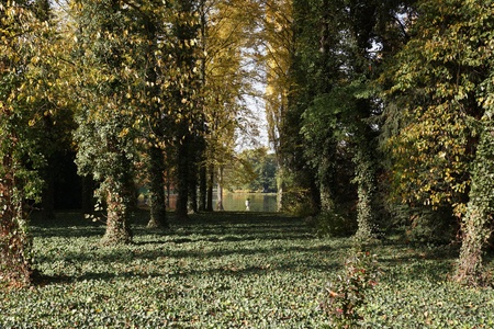 Autumn in the Park Wörlitzerの写真素材