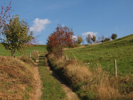 Dirt road in autumnの写真素材