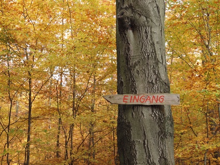 Entrance sign to a treeの写真素材