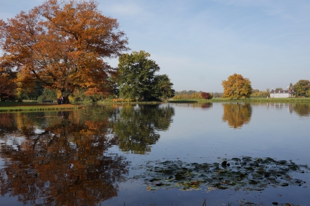 autumnal reflection in Werlitzの写真素材