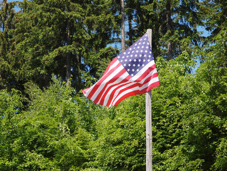 Flag of the United States of Americaの写真素材