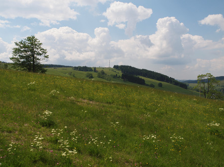 Ridge at Rechenberg- Bienenmuhle, district Holzhauの写真素材