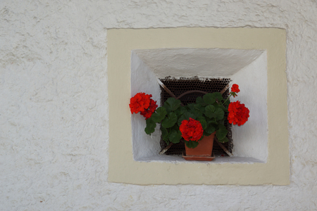Flowers at a barn windowの写真素材