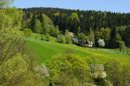 erzgebirge freshgreen in Muldentalの写真素材