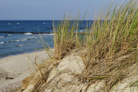 Sandstrand mit D?nen und Ostsee / Sandstrand with dunes and Baltic Seaの写真素材
