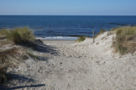 Dune crossing at Ahrenshoopの写真素材