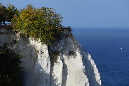 Chalk cliffs on the island of RÃ¼genの写真素材