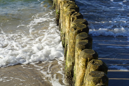 Holzbuhnen bei Ahrenshoop / Wooden groins near Ahrenshoopの写真素材