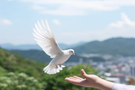 Releasing white pigeons Freedom concept and international day of peace.の素材